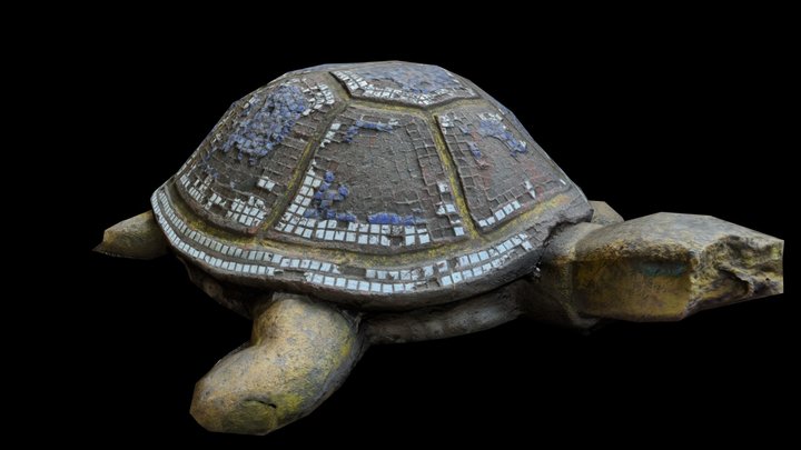 Photoscan Turtle 3D Model