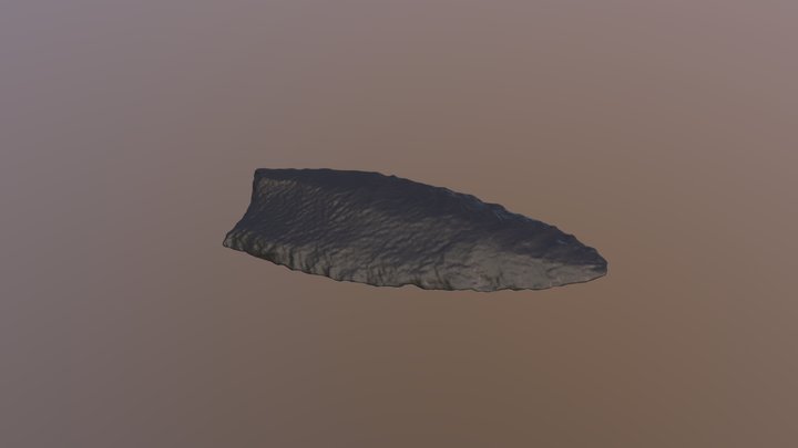 Clovis 3D Model