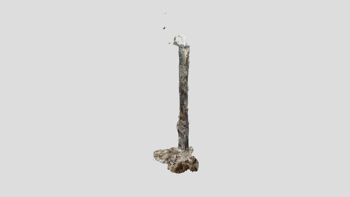 Untitled Scan 3D Model