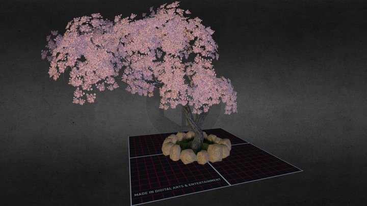 Cherry Blossom Tree 3D Model