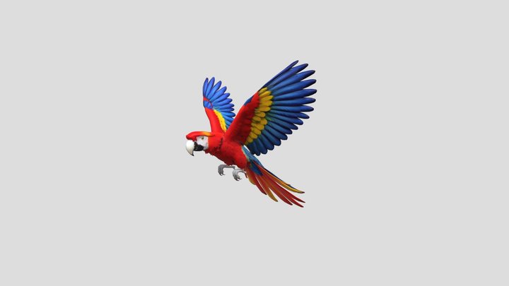 Low poly Macaw 3d model free – Modello 3D gratuito STL