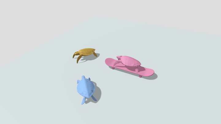 Turtles 3D Model