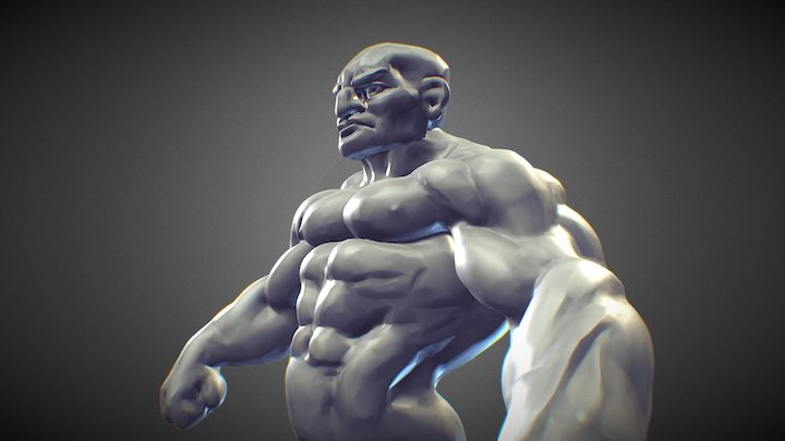 Speed Sculpt30min Study Muscle 3D Model