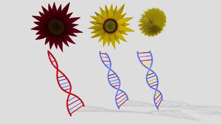 Abstrakt genetisk förklaring 3D Model
