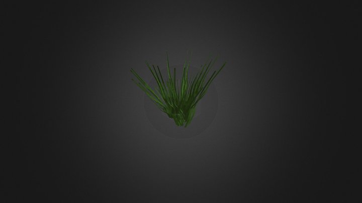 Grass 3D Model