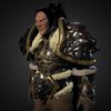 Varian Wrynn - Download Free 3D model by sharknack [40d0916] - Sketchfab