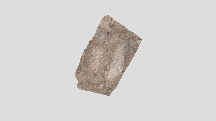 19th centuary barn floor or road surface 3D Model
