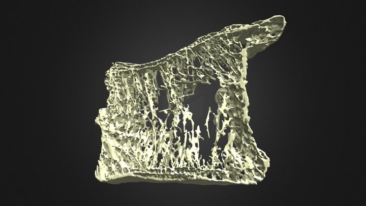 46 - F69 3D Model