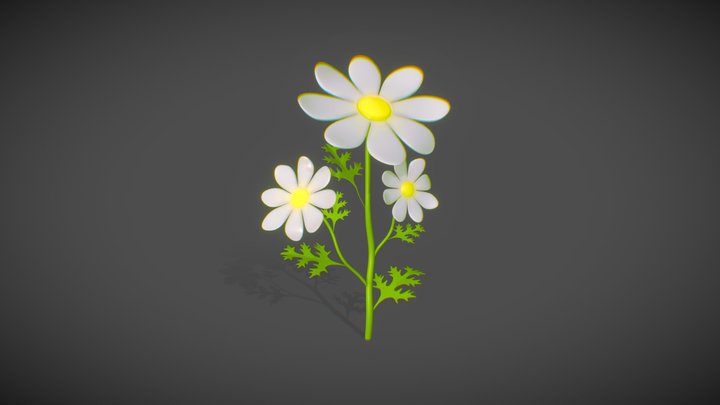 Daisy 3D Model
