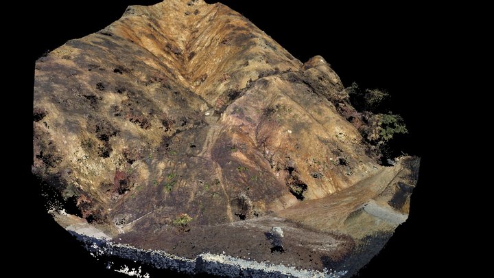 Burned landscape post-rainfall (PC) 3D Model