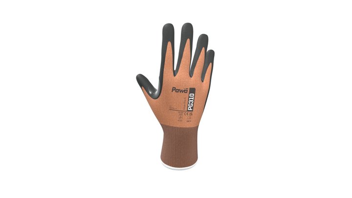 PG310 3D Model
