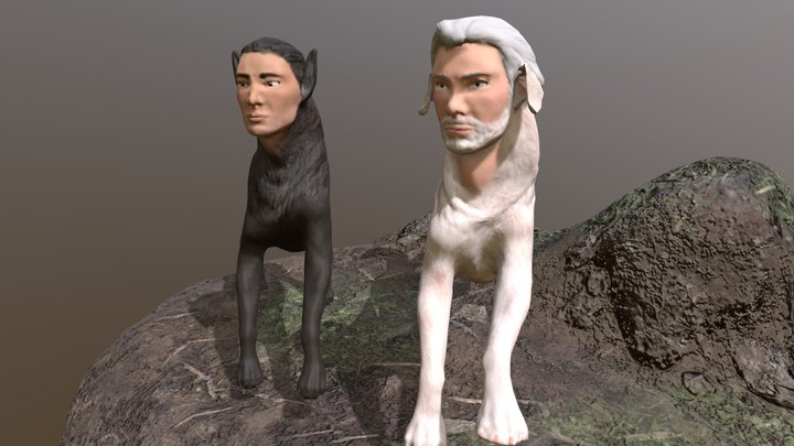 Esll & Lang Coloured 3D Model