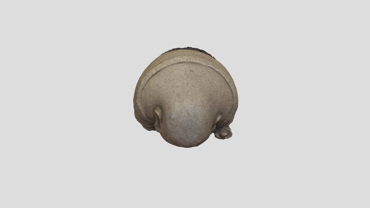 小佛像 3D Model