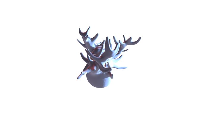 3 3D Model