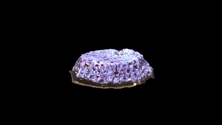 Material 2 3D Model