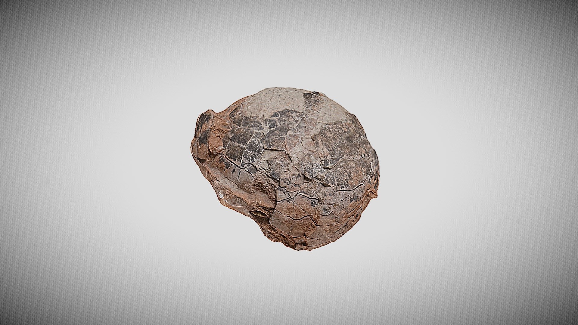 Ep. #54 Hadroasur Egg