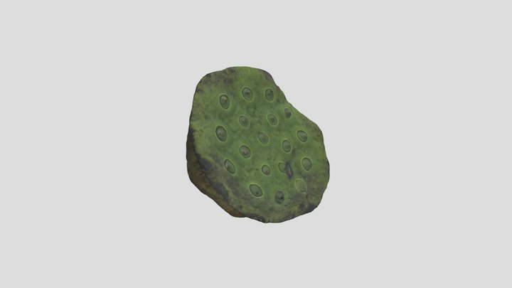 Lotus Pod_ Low Poly 3D Model