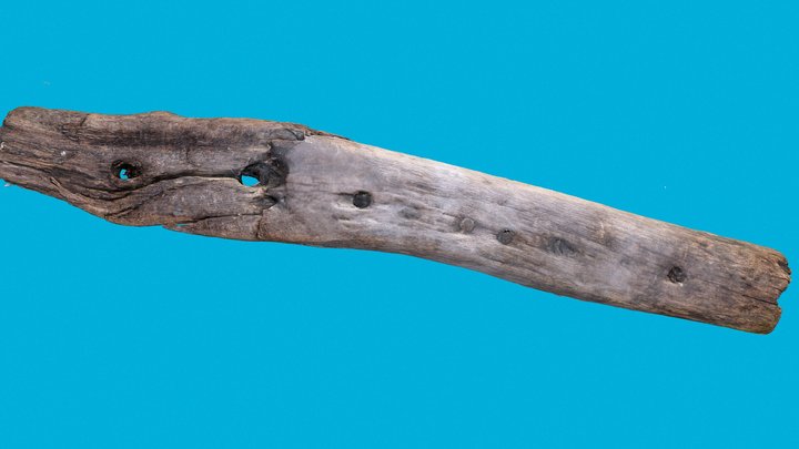 Timber 21 3D Model