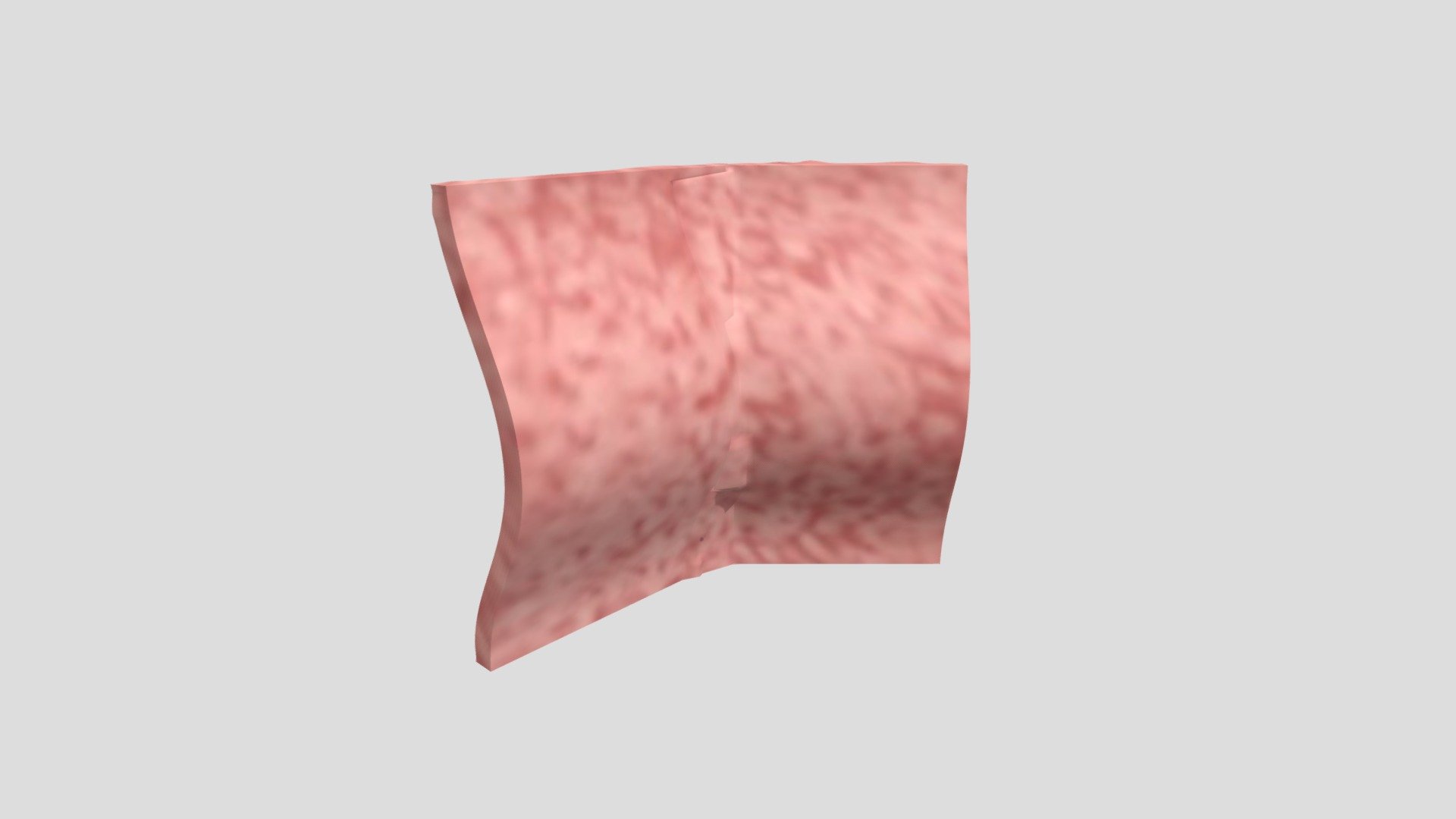 Flesh Wall Curved 2