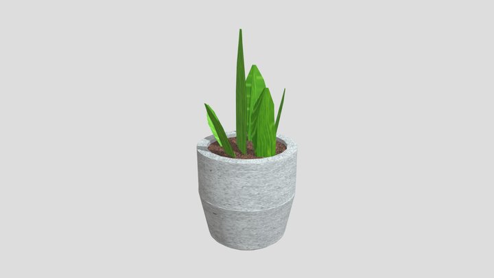 Plant2 3D Model