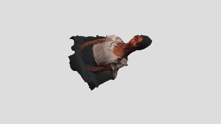 SHIRA 3D Model