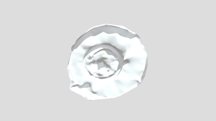 ModelOfWhale_Polycam 3D Model
