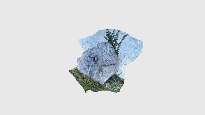 Erzmahlstein2, Todtnauberg Schwarzwald 3D Model
