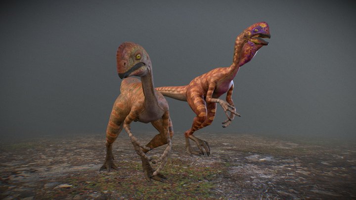 Oviraptor Philoceratops 3D Model