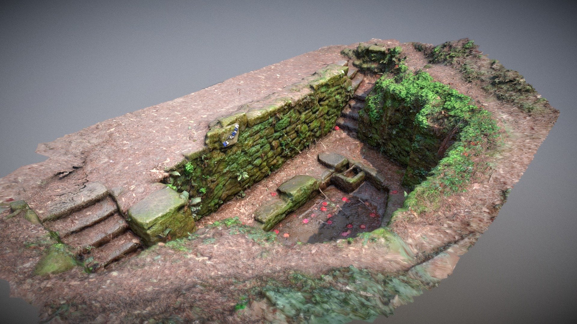 Forest Pit - Buy Royalty Free 3D model by Wittybacon [40fafc3 ...