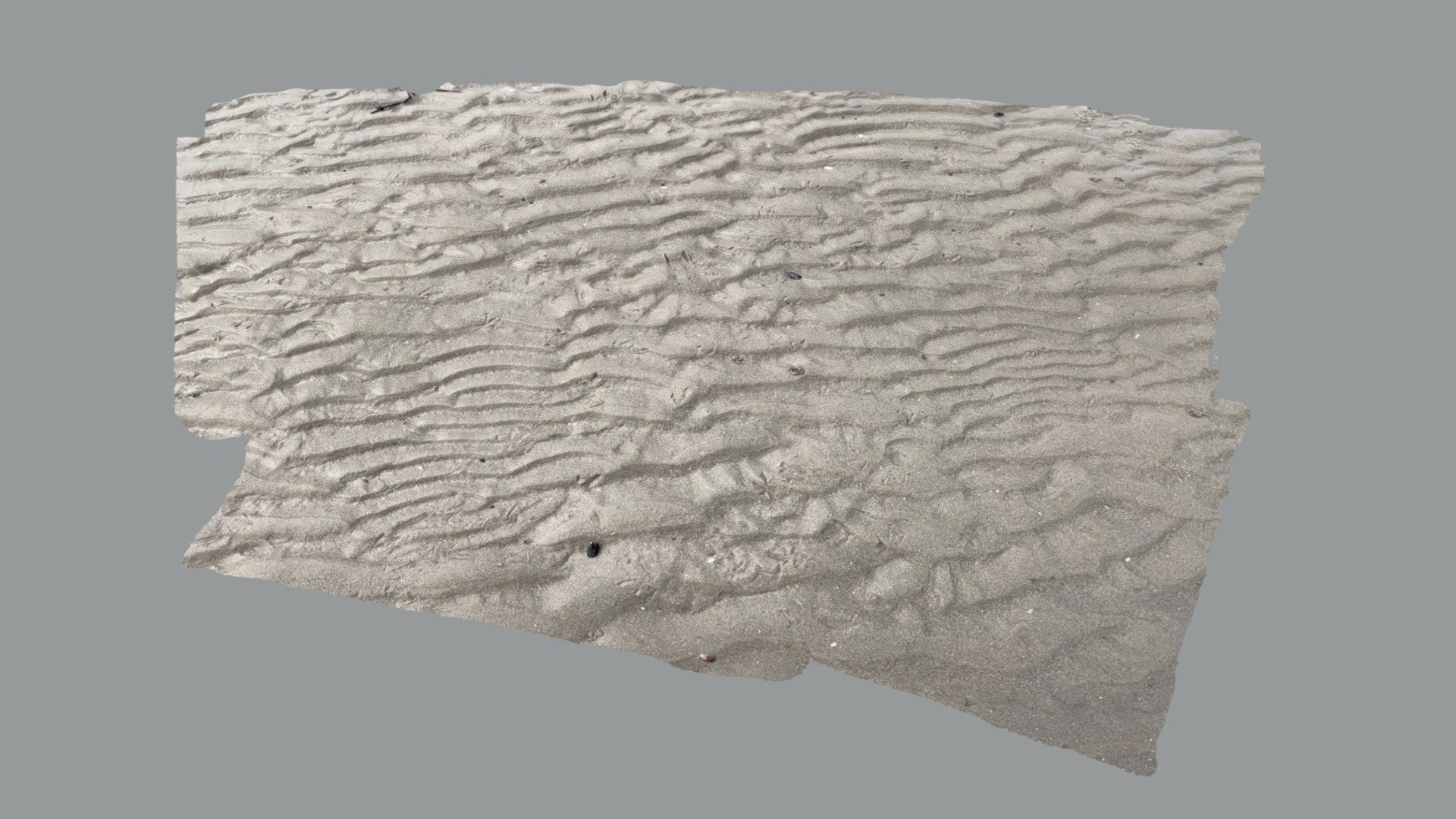 Rides de plage et bioturbations.