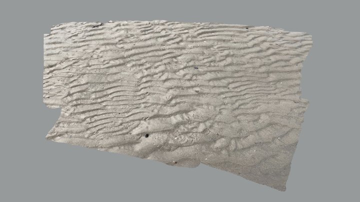 Rides de plage et bioturbations. 3D Model