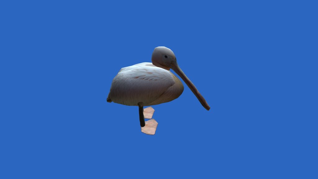 Pelikan — Sketchfab embed 3D viewer