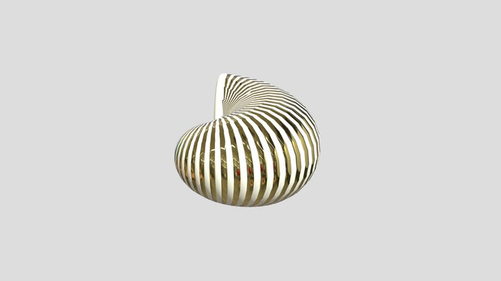 Parametic Shell By Jun Wei 3D Model