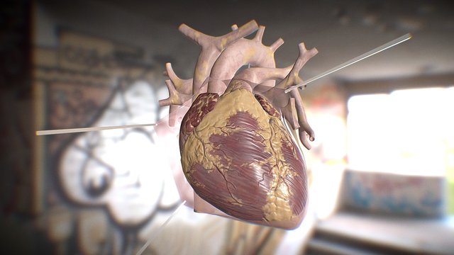 human heart 3D Model