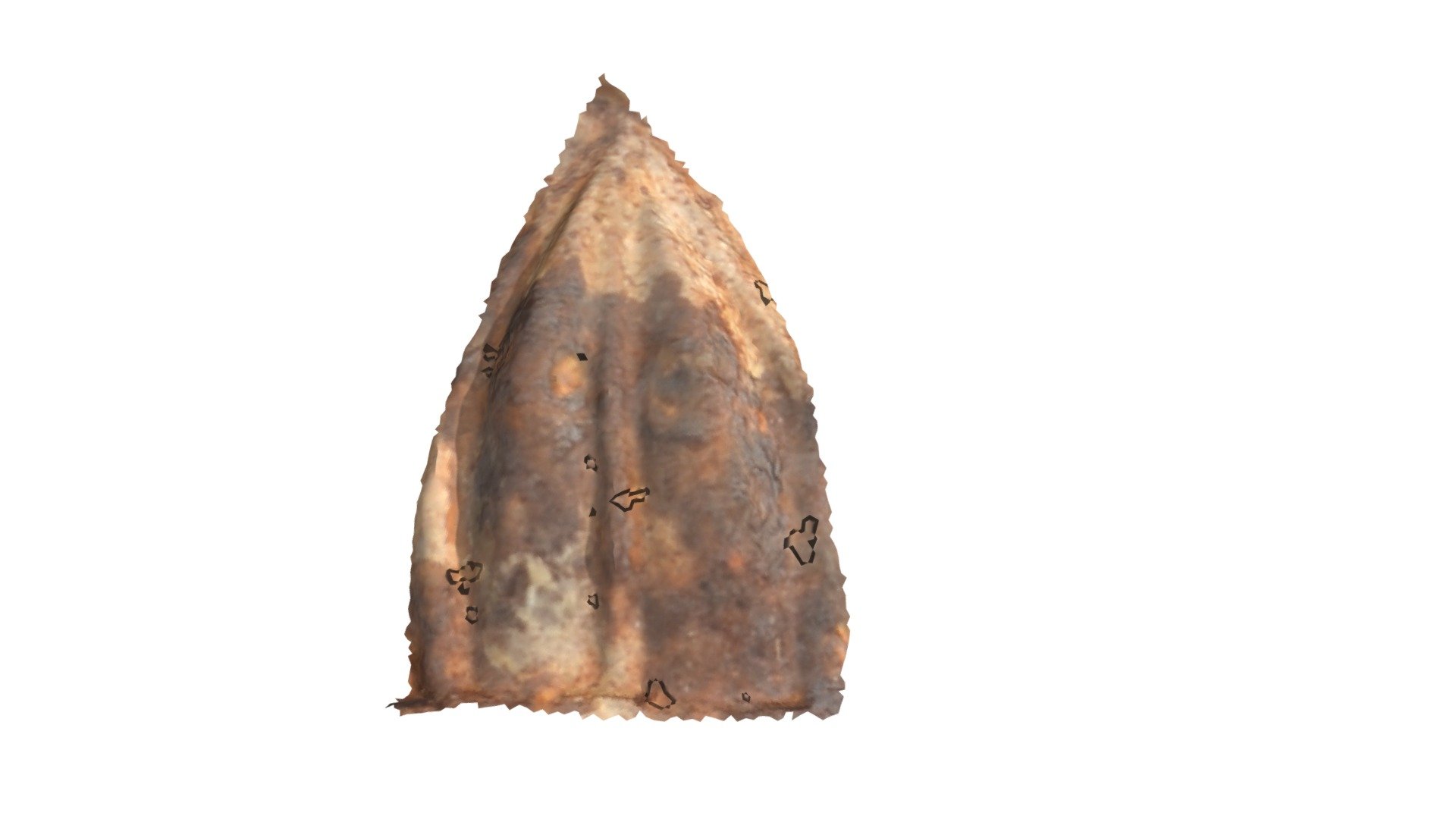 C10 - aurochs MNIR