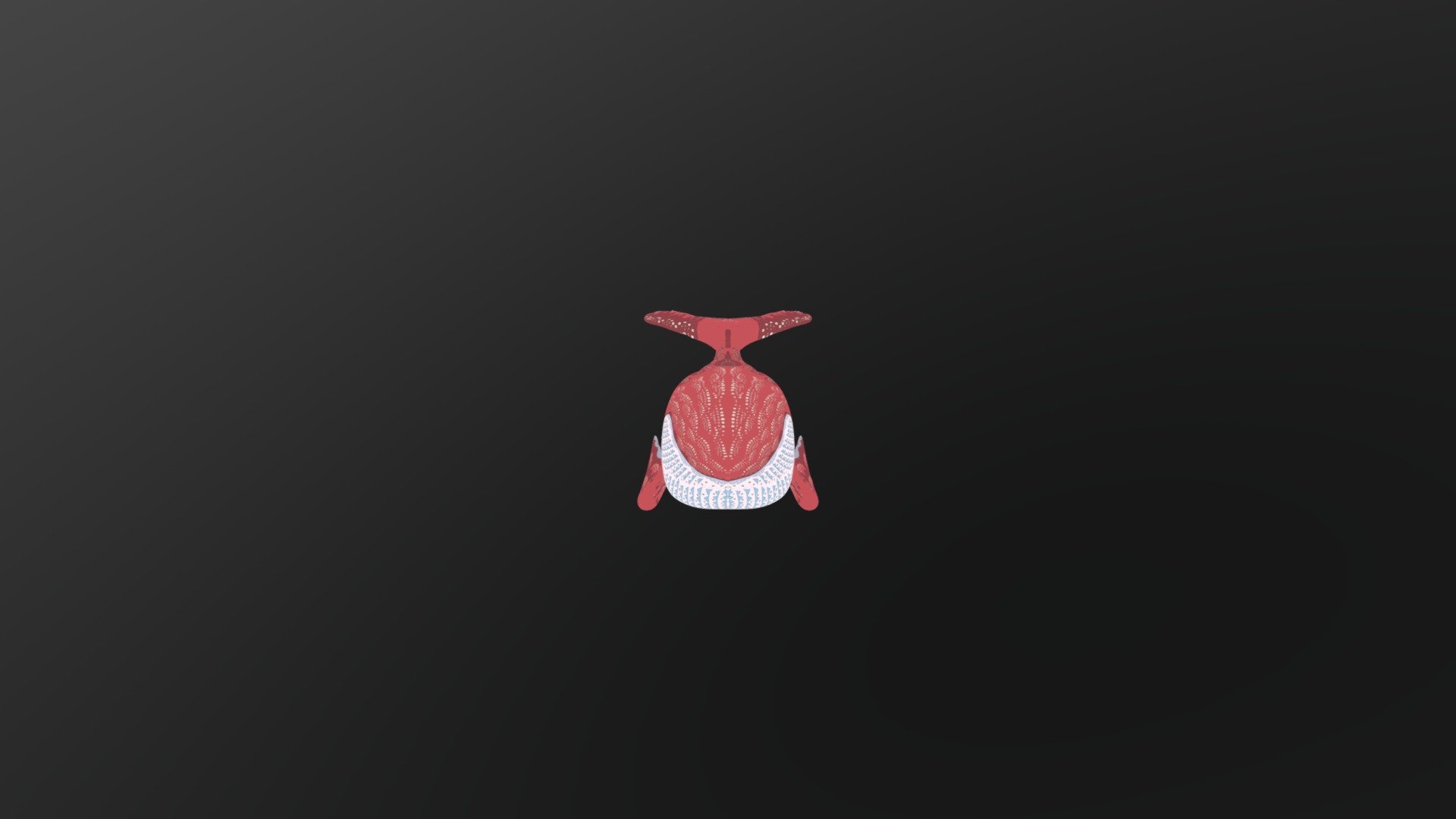 Whale Anim