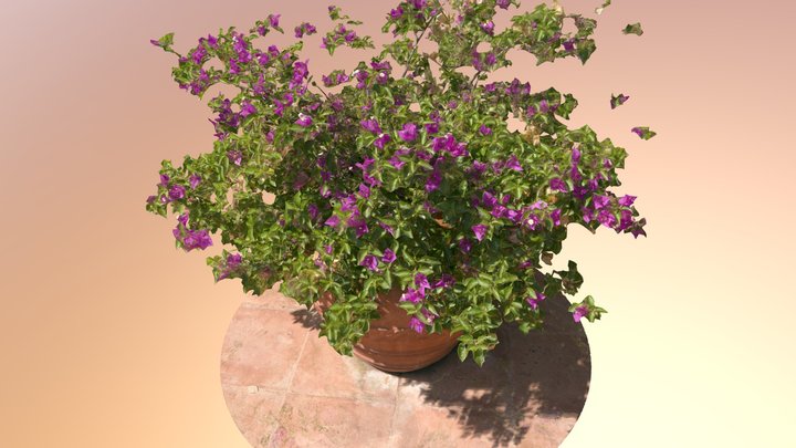 Flower vase terracotta II – Modello 3D gratuito STL