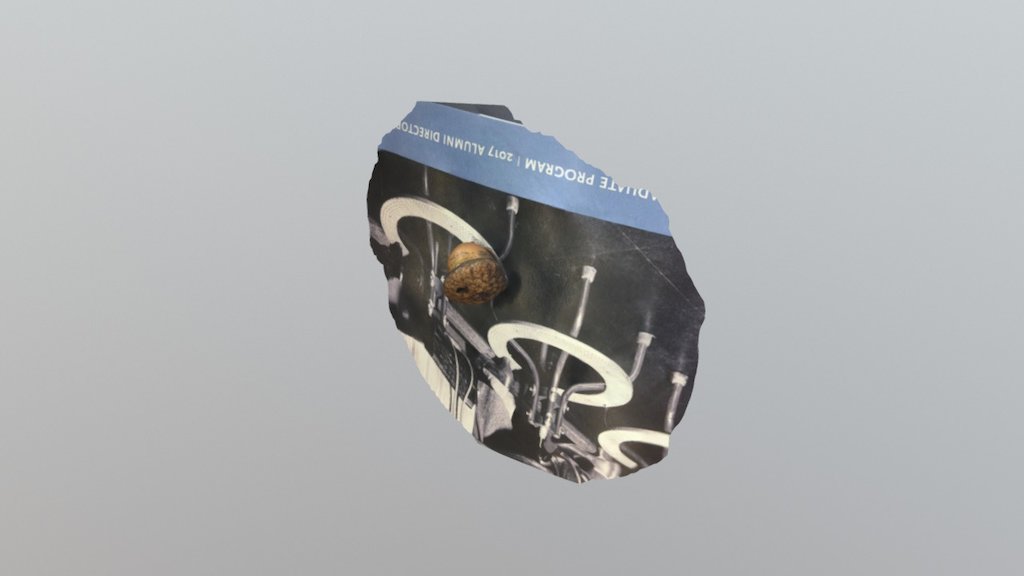 Acorn