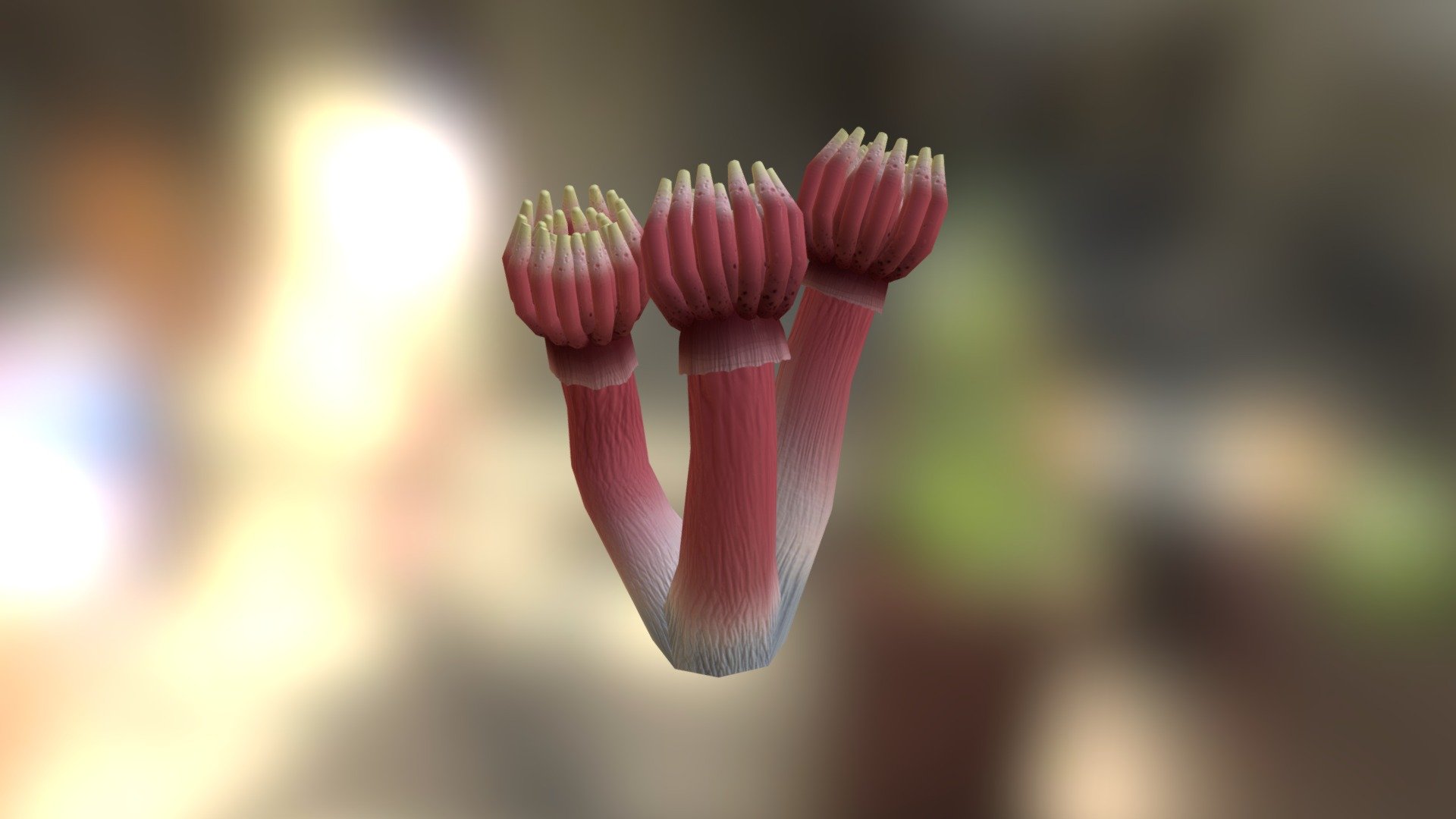 Coral