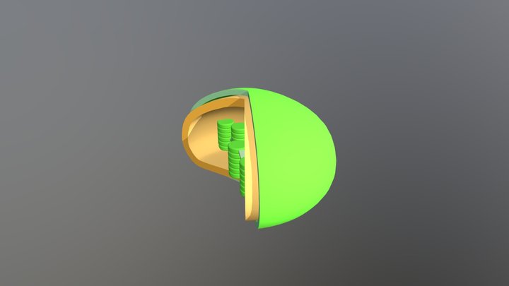Chloroplast 3D Model