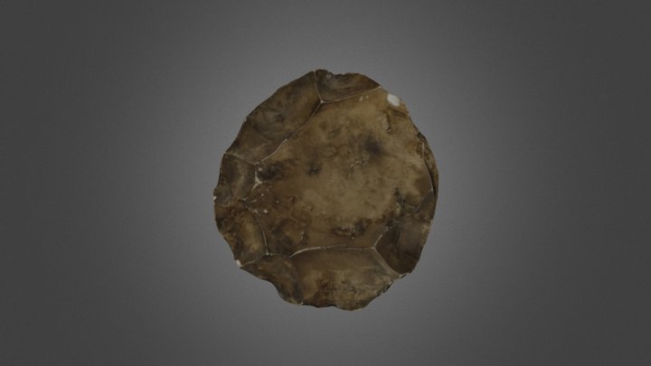 Core (84.1165A) 3D Model