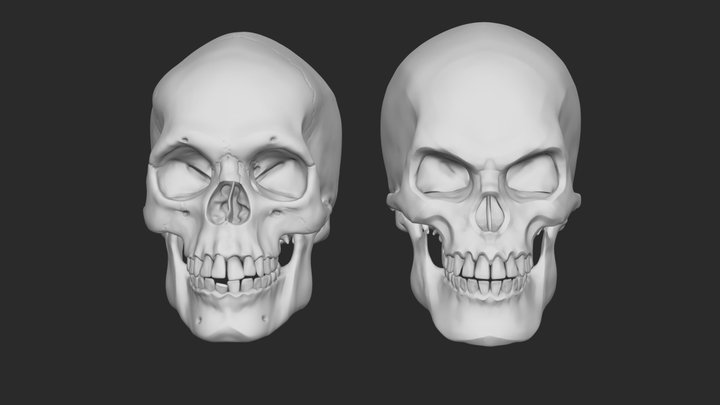 Czaszka 3D models - Sketchfab