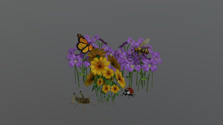 Insect pack 3D Model