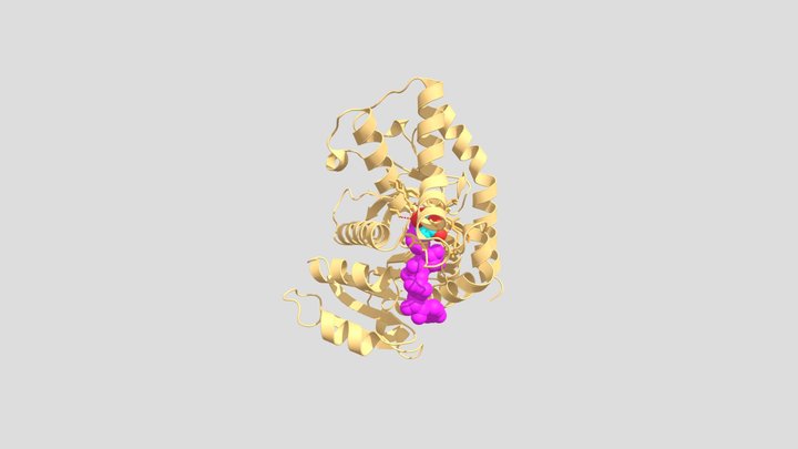 Malate dehydrogenase+NAD+ malate 3D Model