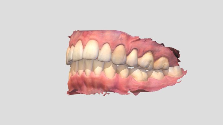 tlskezdeti 3D Model