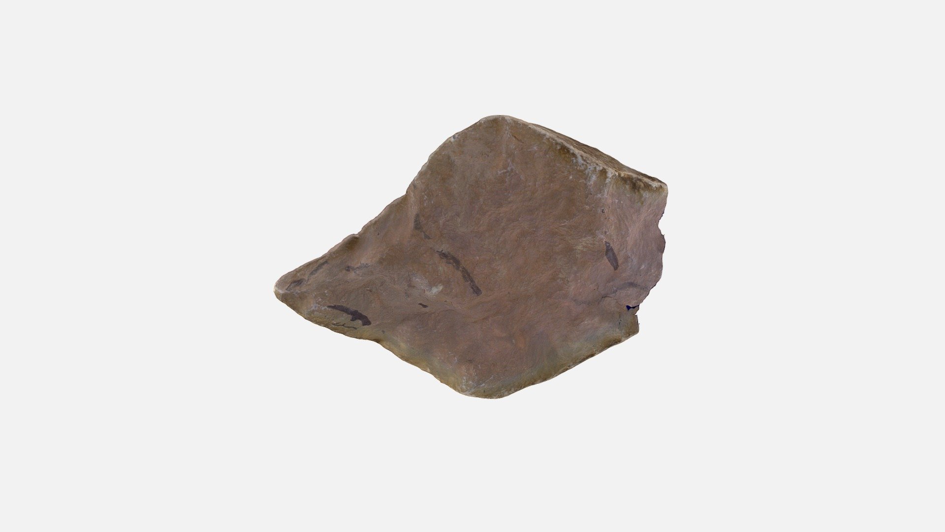 Sedimentary Sample