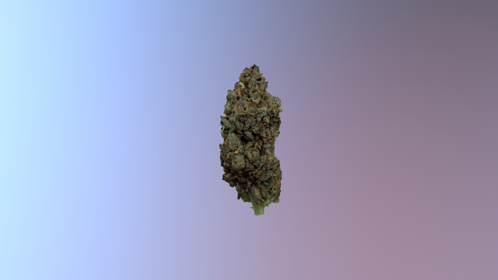 Weed