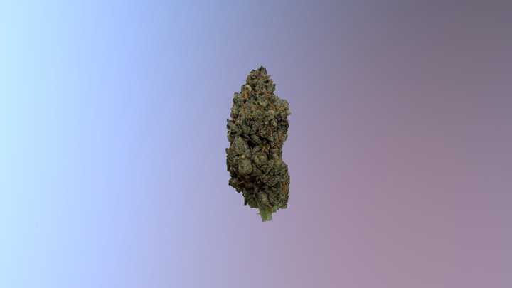 Weed 3D Model
