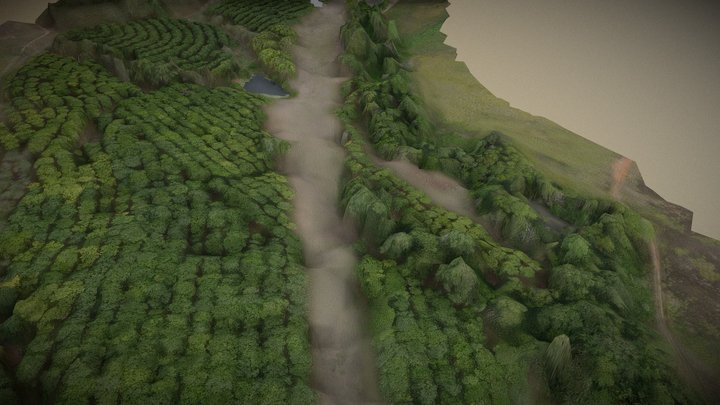 Macadamia farm Sunshine Coast 3D Model