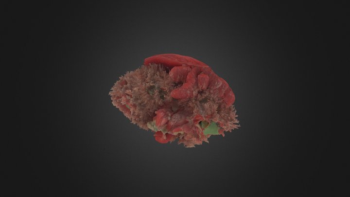 Ч14 3D Model